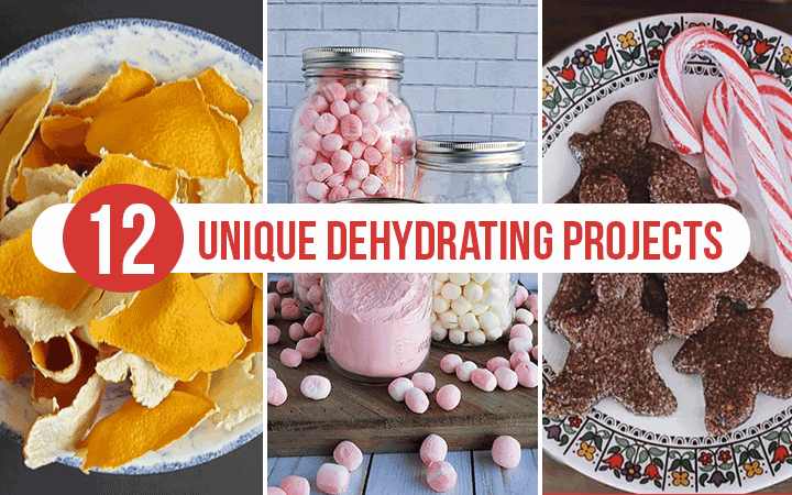 12 Unique Dehydrating Projects To Try - The Purposeful Pantry