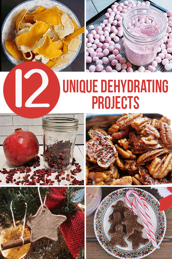 12 dehydrating projects from dehydrated marshmallows to venison jerky