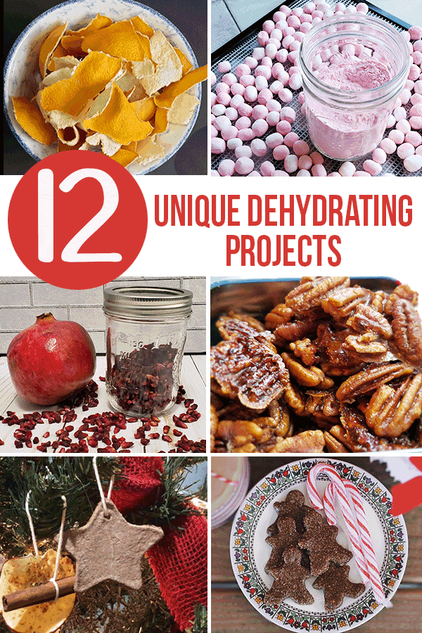 12 Unique Dehydrating Projects To Try - The Purposeful Pantry