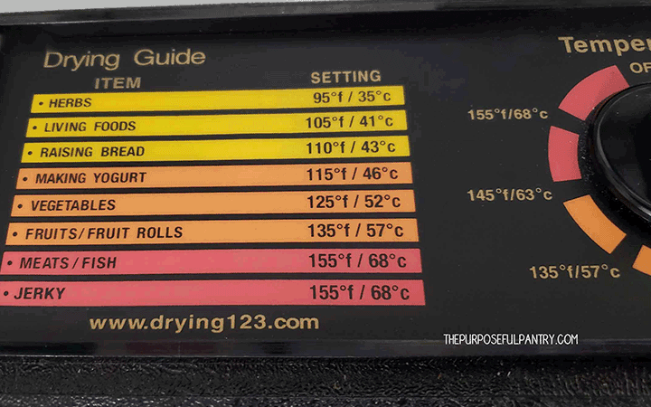 Presto 06300 Dehydrator Review: Budget-Friendly Snacking