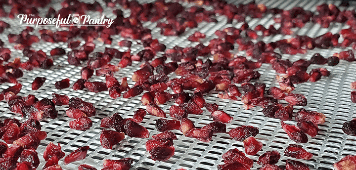 Pomegranate arils on Excalibur dehydrator tray