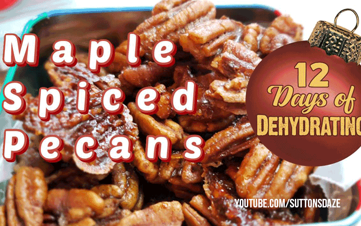 https://www.thepurposefulpantry.com/wp-content/uploads/2019/12/spiced-pecans.png