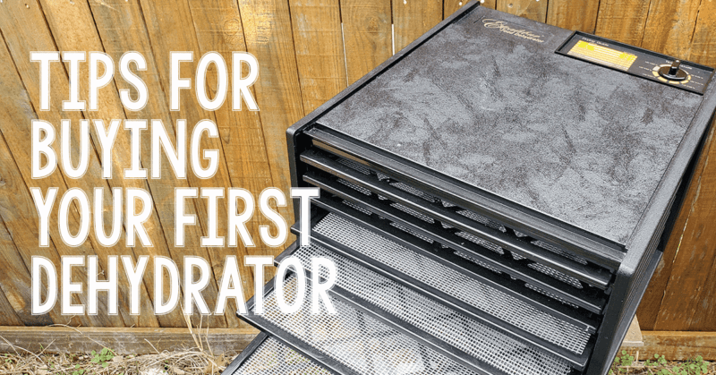 Excalibur 9-Tray Dehydrator with text "Tips for Buying Your First Dehydrator"