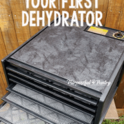 Excalibur 9-Tray Dehydrator with text "Tips for Buying Your First Dehydrator"