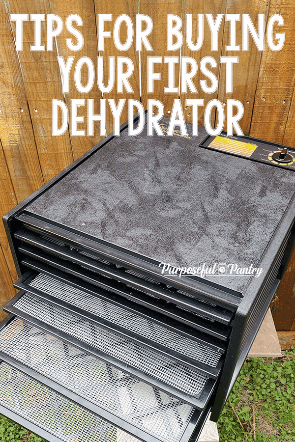 Black Excalibur Dehydrator with text "Tips for Buying Your First Dehydrator"
