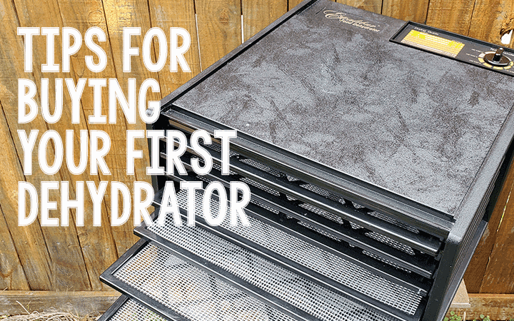 Black Excalibur Dehydrator with text "Tips for Buying Your First Dehydrator"