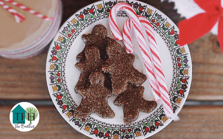 Plate on kitchen table with candycanes and raw, vegan, gingerbread cookies made in the dehydrator.