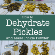 Dehydrated Pickles 5 Ways with Measuring spoons and mason jar.