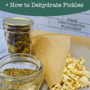 Dehdyrated pickles, Pickle Powder & Popcorn in a parchment paper cup
