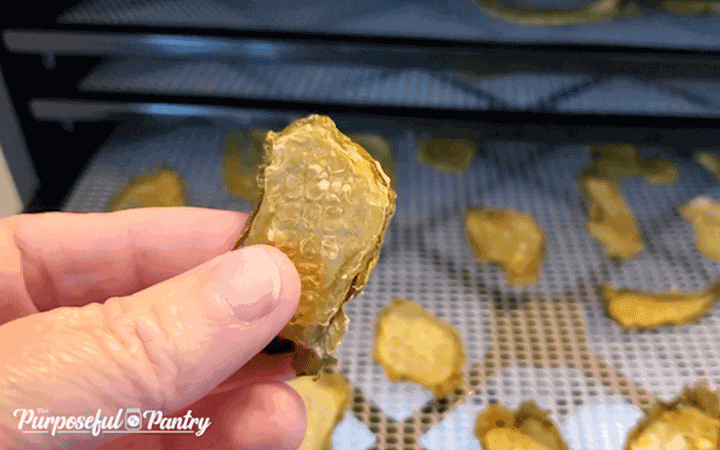 Dehydrated Pickle on Excalibur Dehydrator Trays