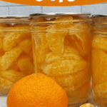 Mandarin orange segments that have been canned with some fresh oranges.