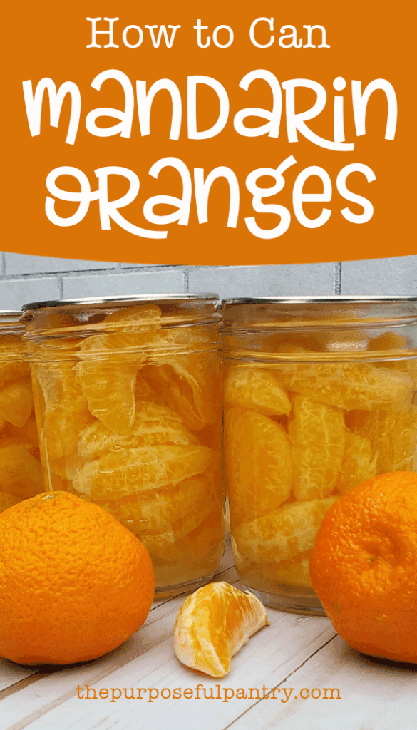 Mandarin orange segments that have been canned with some fresh oranges.