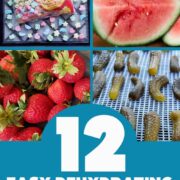 photos of marshmallows, watermelon, strawberries and pickles - easy dehydrating projects for kids