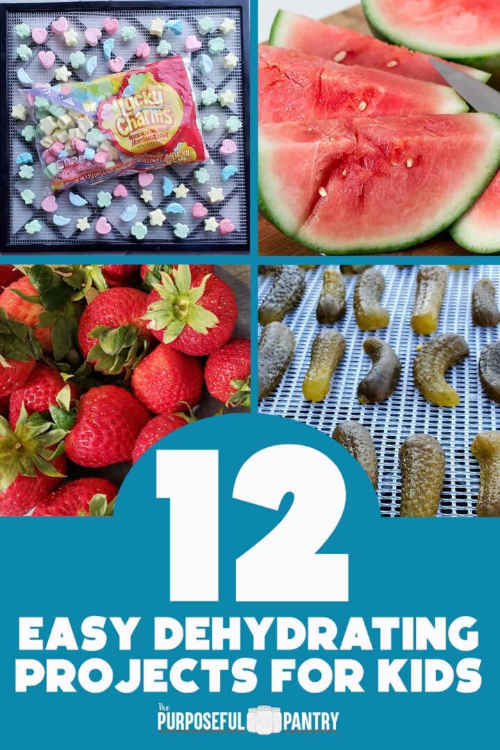 photos of marshmallows, watermelon, strawberries and pickles - easy dehydrating projects for kids