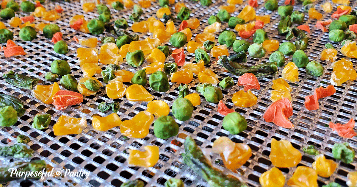Dried vegetables on Excalibur dehydrator mesh tray