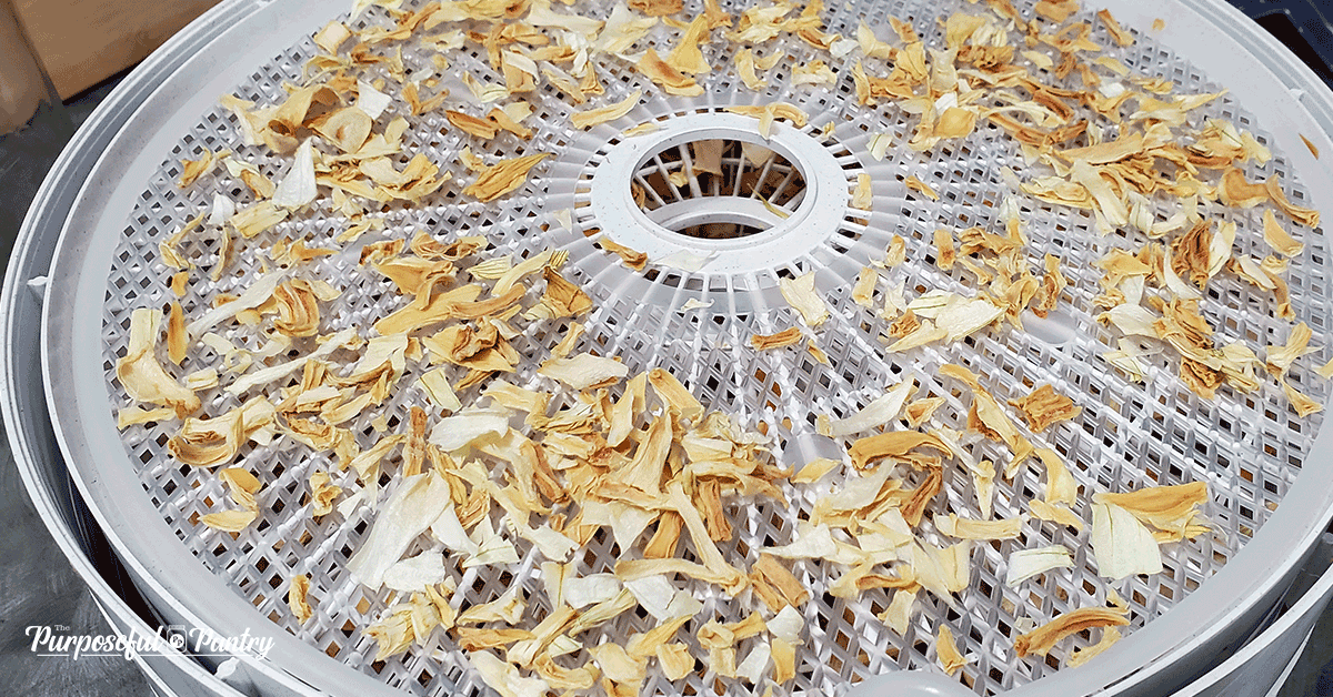 Nesco dehydrator tray with finished dried onions.