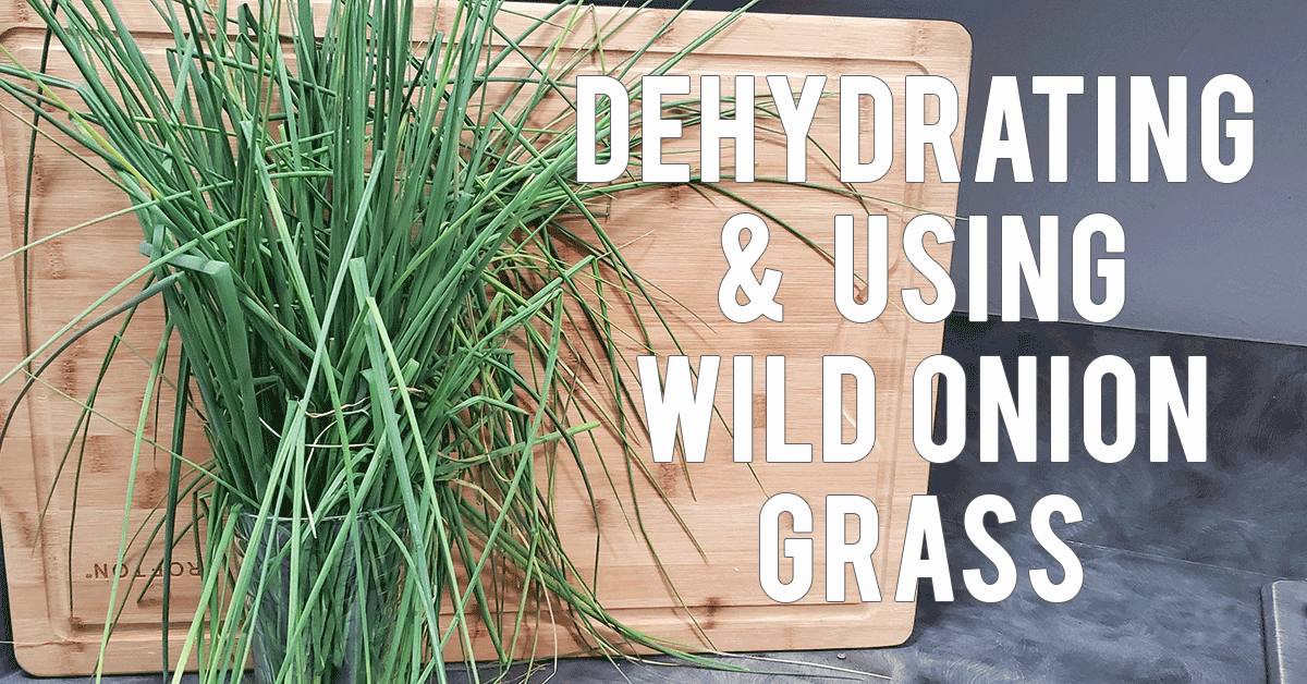 Wild onion grass in front of cutting board in kitchen for dehydrating