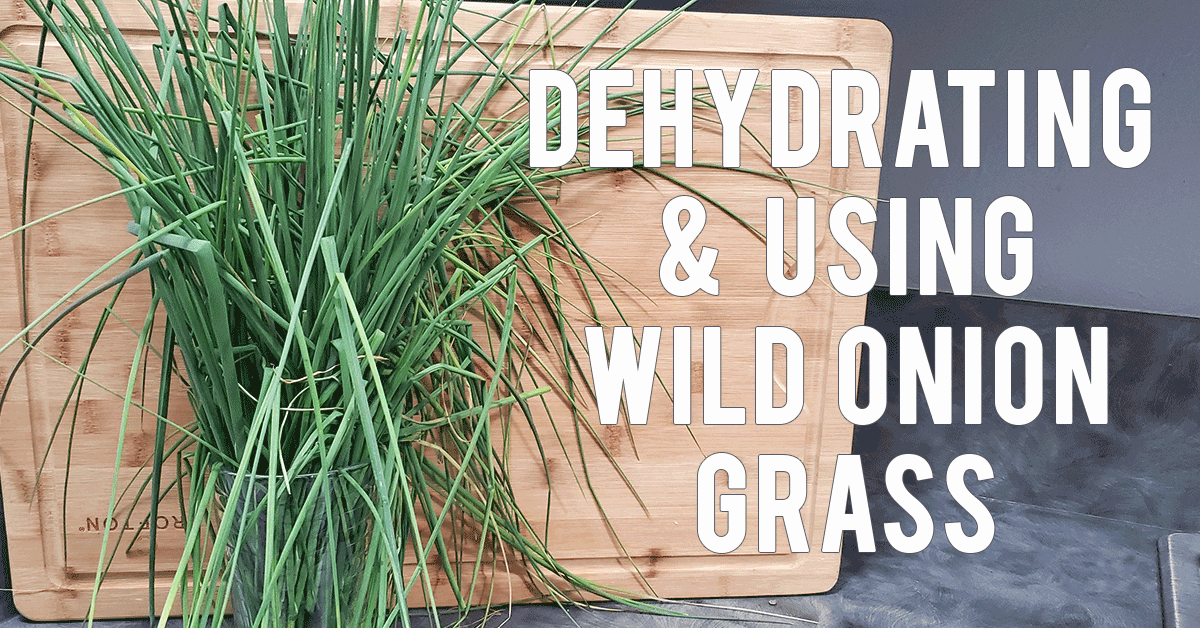 How to Dehydrate Wild Onion Grass - The Purposeful Pantry