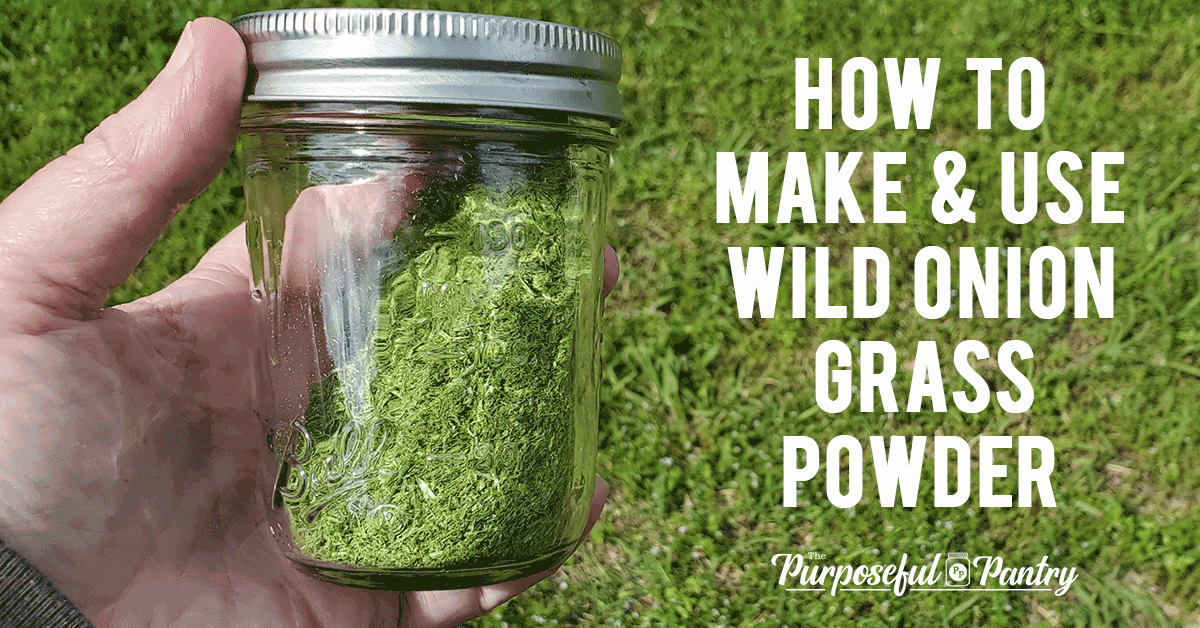 Jar of dehydrated & powdered wild onion grass with caption "How to Make & Use Wild Onion Grass Powder"