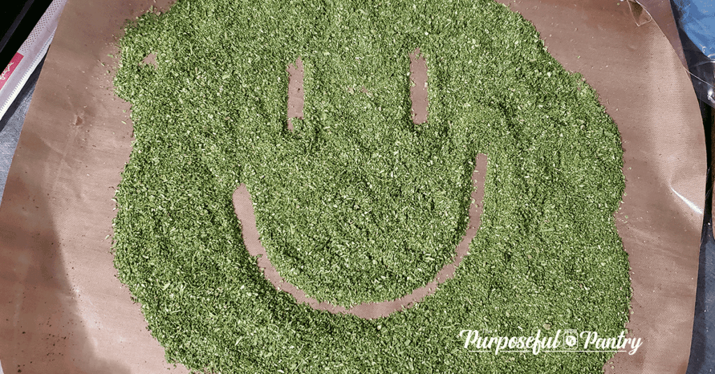 Excalibur Dehydrator Fruit Leather Tray with dehydrated & powdered wild onion grass with a smiley face drawn in it.