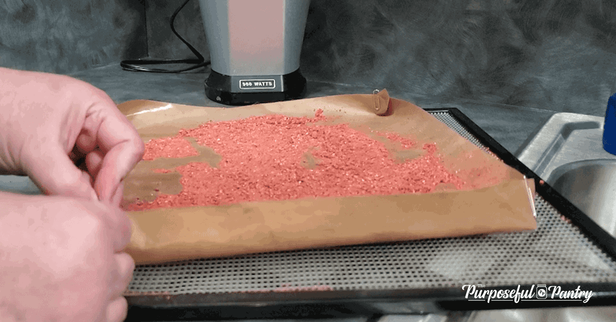 DIY liquid dehydrating tray made from fruit leather sheet, full of strawberry powder, on an Excalibur dehydrator tray