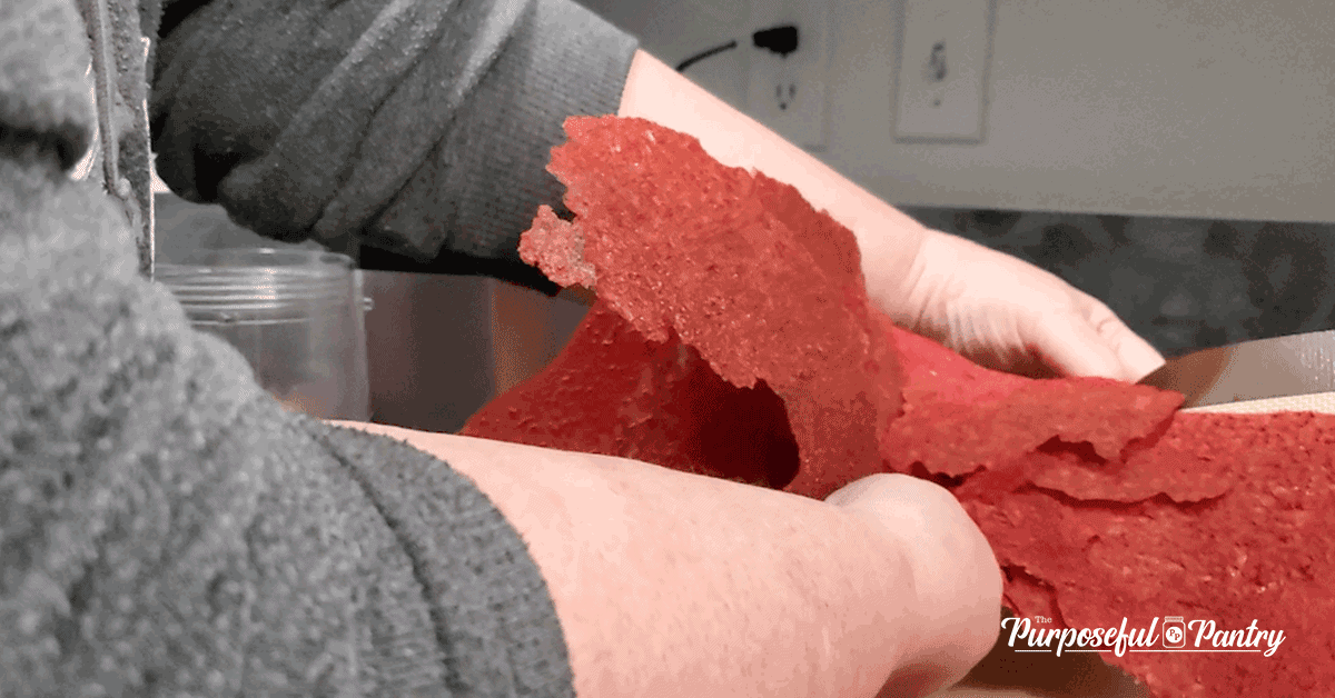 Sheets of dehydrated strawberry puree being broken up
