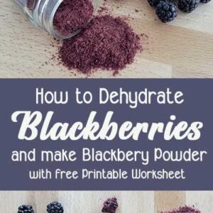 Jar of blackberry powder spilled on tabletop with fresh blackberries
