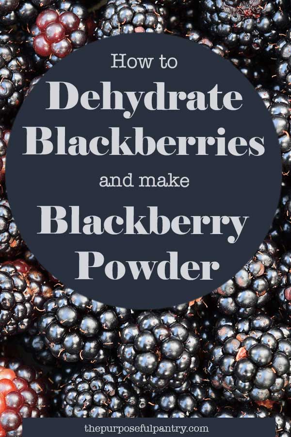 Photo of blackberries with text: How to Dehydrate Blackberries & Make Blackberry Powder
