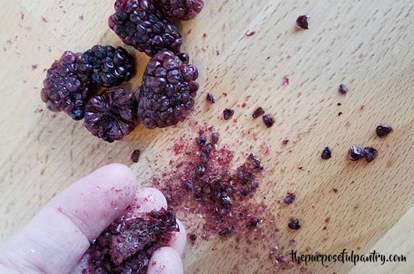 Dehydrated blackberries crushed in the hand to know when they are done.