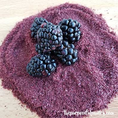 Mound of dehydrated blackberry powder with fresh blackberries on top