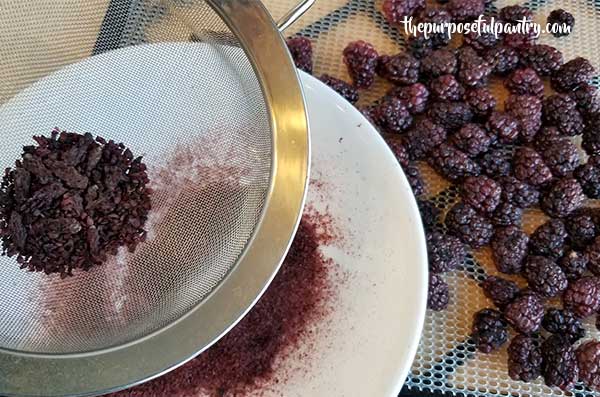 Straining blackberry seeds from dehydrated blackberry powder in a mesh strainer