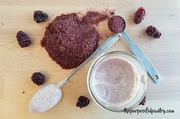 Blackberry powder and a jar of blackberry flavored yogurt with fresh and dehydrated blackberries