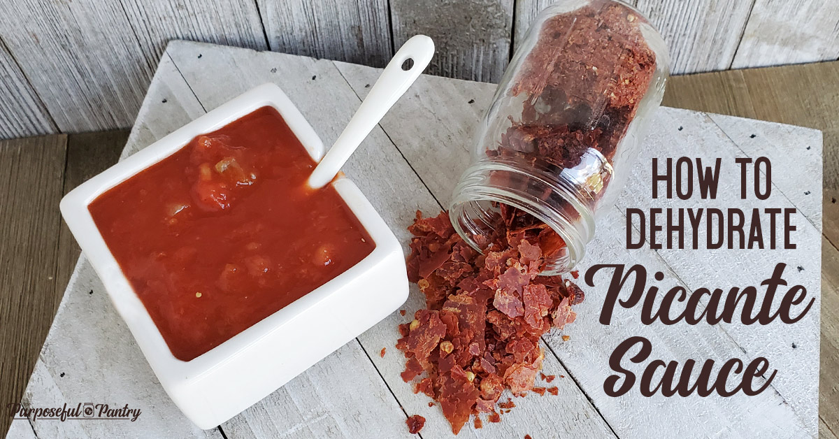 Square serving dish full of picante sauce and dehydrated picante sauce chips on wooden surface
