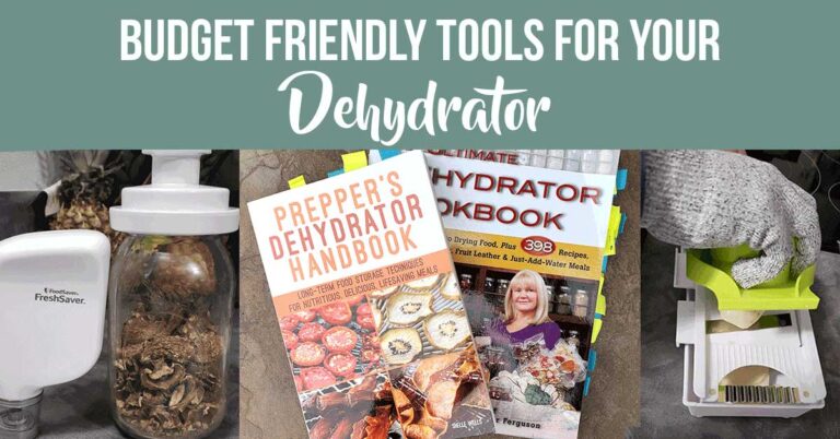 Dehydrating tools: Cookbooks, vacuums sealers, mandoline