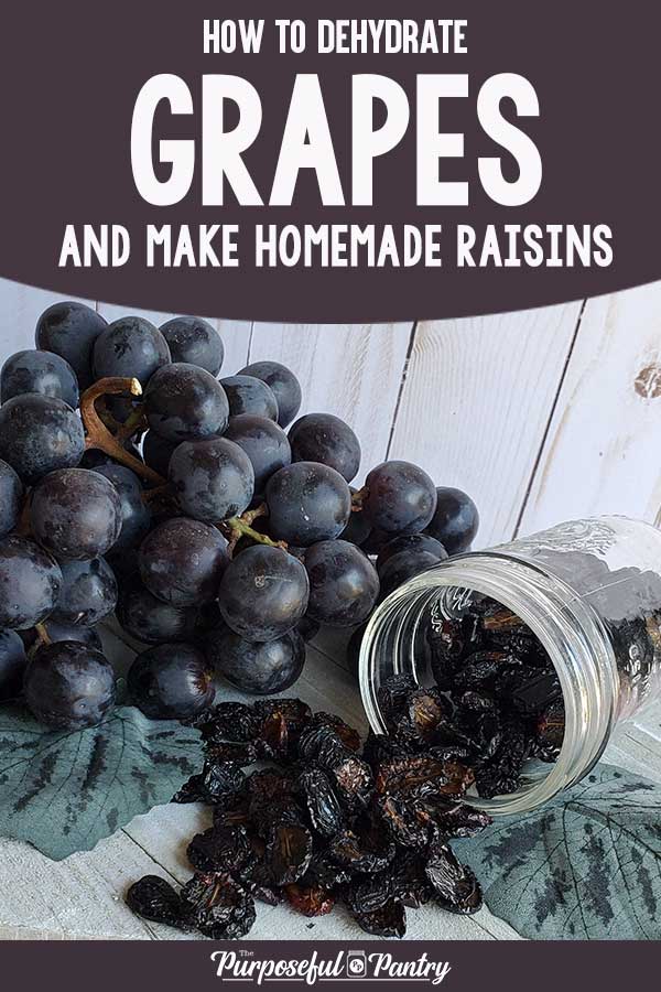 Fresh grapes, dehydrated grapes (raisins) in a mason jar on a wooden background.