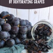 Fresh grapes and a mason jar of dehydrated grapes (raisins) on a wooden surface