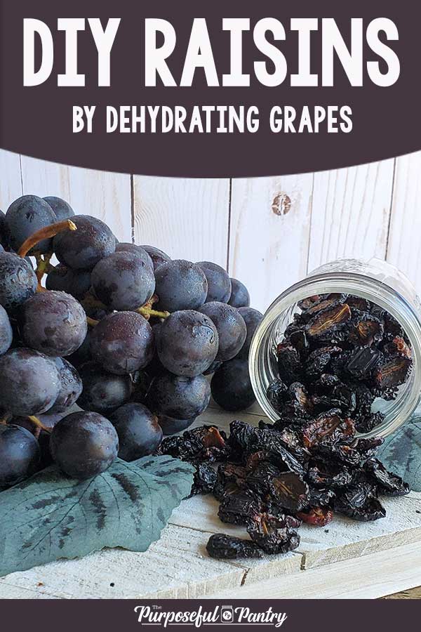 How to Dehydrate Grapes for Homemade Raisins The Purposeful Pantry