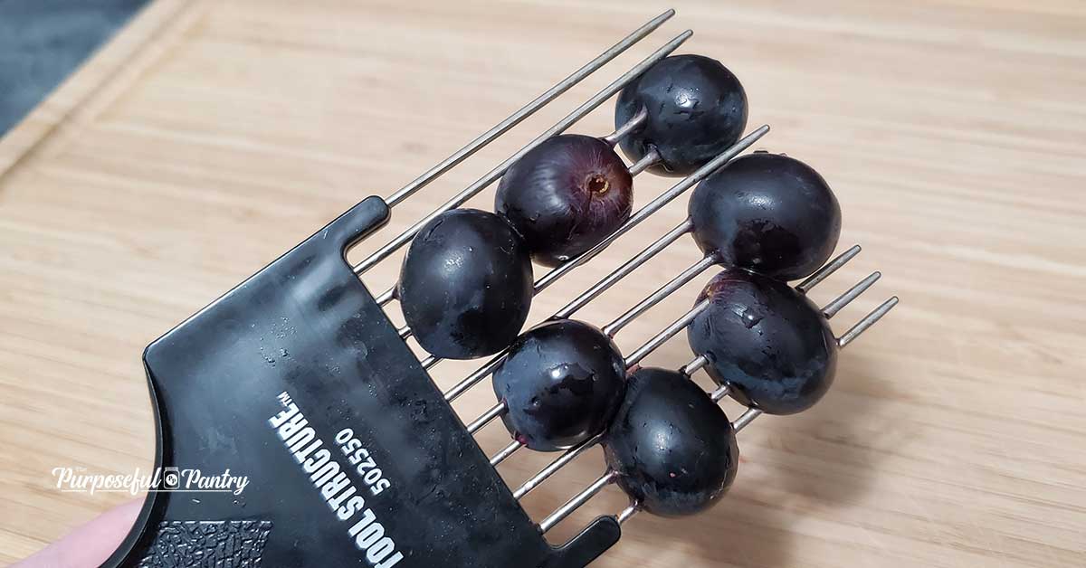 Fresh grapes on a metal hair pick to pierce prior to dehydrating