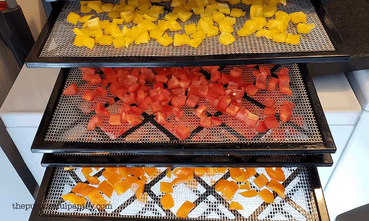 Diced yellow, red and orange bell peppers being dehydrated on Excalibur Dehydrator trays.