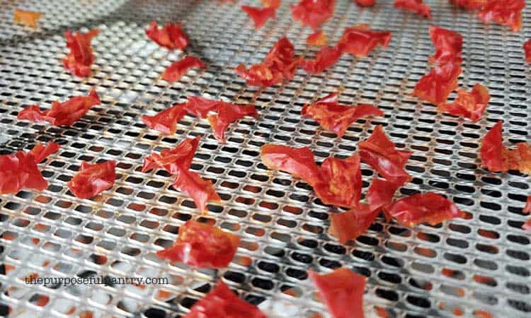 Fully dehydrated red bell peppers on Excalibur dehydrator tray
