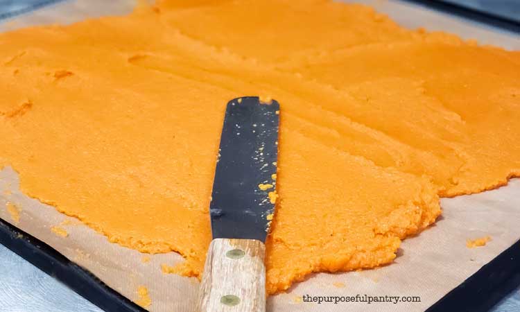 Spreading pumpkin puree on fruit leather sheet for Excalibur Dehydrator