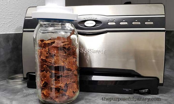 Pumpkin leather chips being vacuum sealed by Foosaver Vacuum Sealer