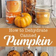 Pinterest image for dehydrated canned pumpkin puree
