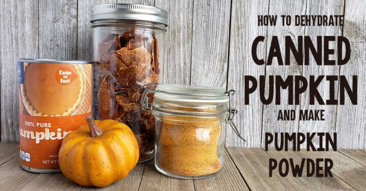 Canned pumpkin, pumpkin leather and pumpkin powder on wooden backdrop
