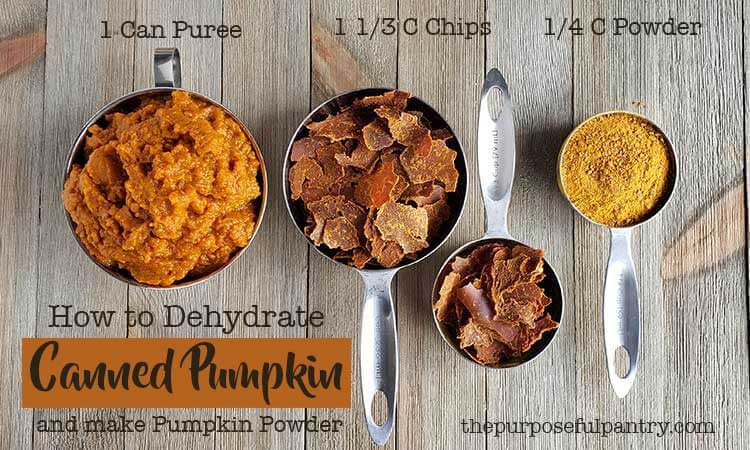Dehydrated Pumpkin Conversion chart with measuring spoons of pumpkin and pumpkin powder