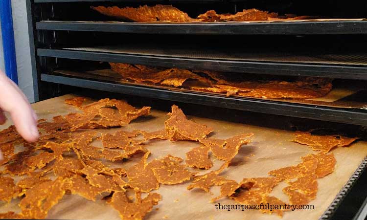 Pumpkin leather chips on Excalibur Dehydrator trays