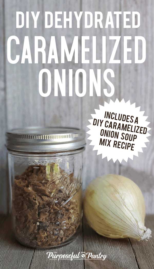 Mason jar full of dehydrated minced caramel onions and a fresh onion on wooden background