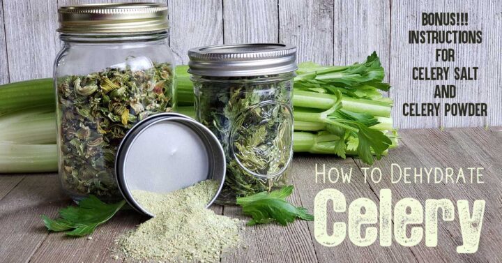 How to Dehydrate celery hero image - fresh celery, dehydrated celery, celery powder on wooden background
