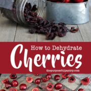 Dried cherries in mason jar spilling on a wooden surface next to metal container of fresh cherries and drying cherry halves on Excalibur Dehydrator Tray