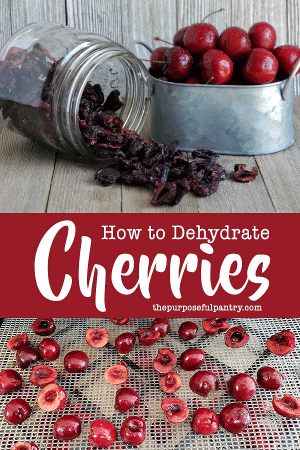 How to Dehydrate Cherries with a Dehydrator or Oven The Purposeful Pantry
